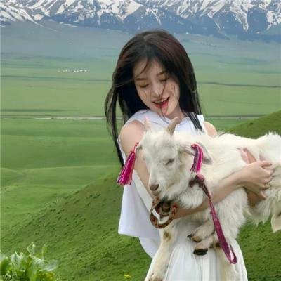 费德勒：最后的12天